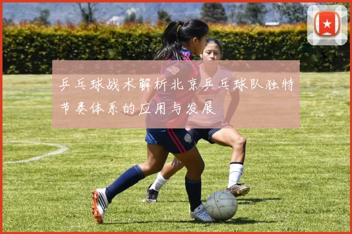 乒乓球战术解析北京乒乓球队独特节奏体系的应用与发展